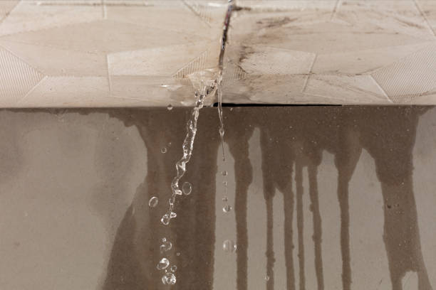 Professional Water Damage Inspection technician working in South Houston, TX